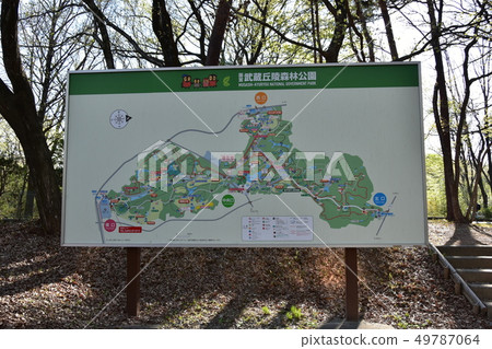 Information board of forest park 49787064