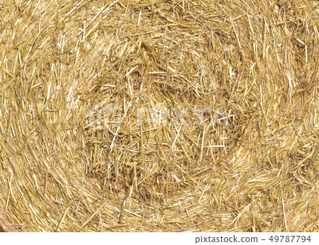 The texture of the collected straw The texture of the collected straw 49787794