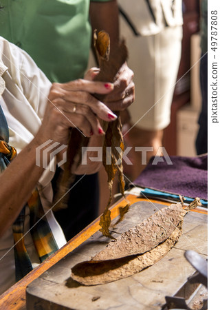 Woman making cigar - Trinidad - Cuba Woman making cigar - Trinidad - Cuba 49787808