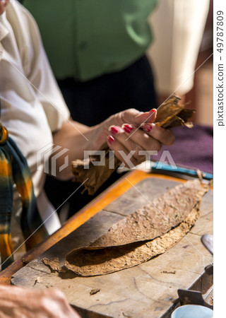 Woman making cigar - Trinidad - Cuba Woman making cigar - Trinidad - Cuba 49787809