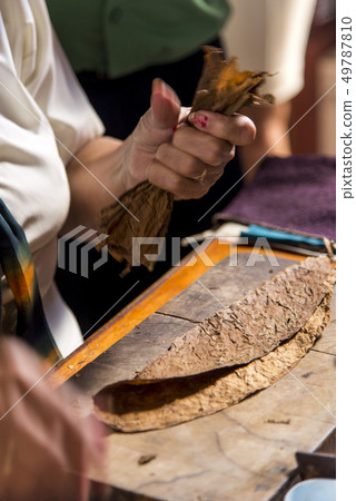 Woman making cigar - Trinidad - Cuba Woman making cigar - Trinidad - Cuba 49787810
