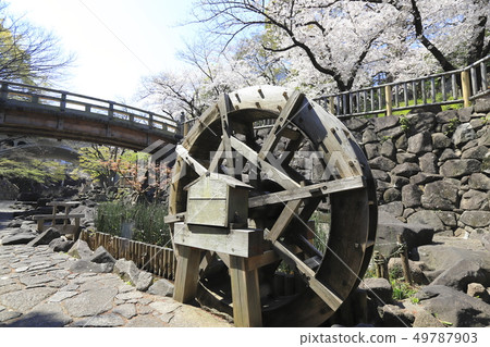 Otonashi水上樂園公園與水輪北區,東京 Otonashi水上樂園公園與水輪北區,東京 49787903