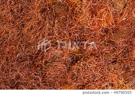 Dry brown corn flowers for medical use. Dry brown corn flowers for medical use. 49790505