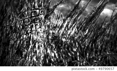 Ruin abandoned house in black and white colors. 49790657