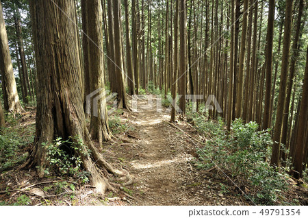 Oku Musashi Takino Hiraone山行跡 49791354