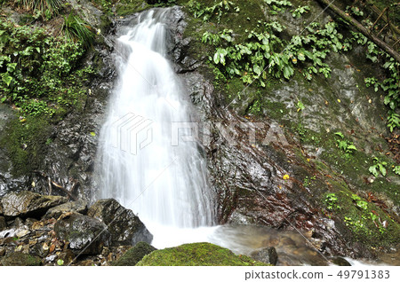 Mountain stream at Shiranosawa, Ebinooriyama 49791383