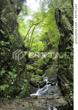 Shiranosawa的Gornoju，Ebinooriyama 49791387