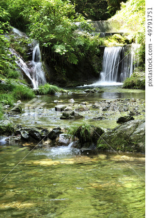 Tributary Setozawa in Kitaakigawa Tributary Setozawa in Kitaakigawa 49791751