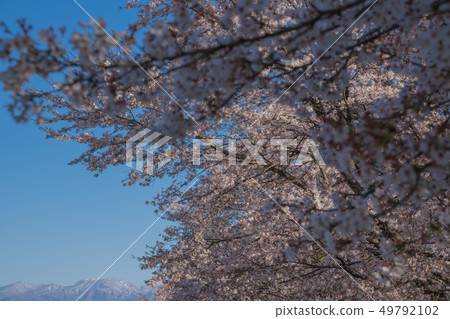 Akagi mountain 49792102