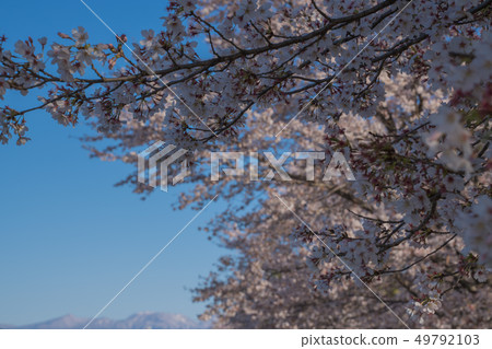 Akagi mountain Akagi mountain 49792103