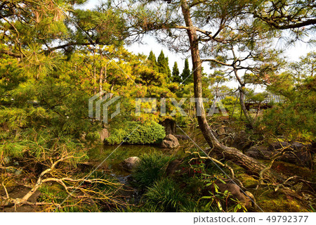冬季科恩恩花園 49792377