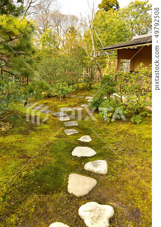 Winter Kokoen Garden 49792508