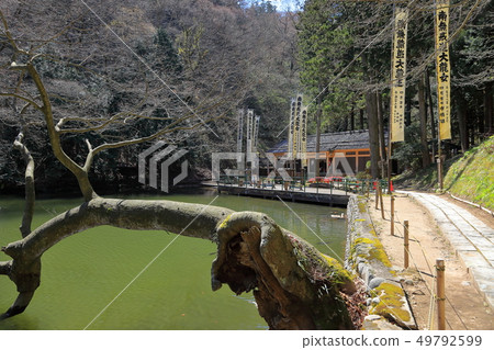 The pond of shellfish where Zenji Temple human face fish live 49792599