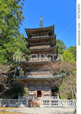 Zentsuji寺五層寶塔 49792693