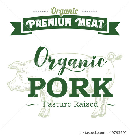 Hand drawn pig label with text organic pork 49793591