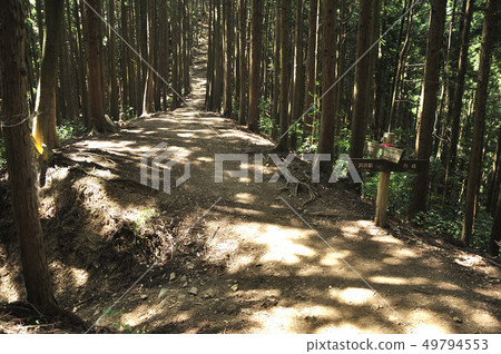 Okutama Miyama Mt. 49794553