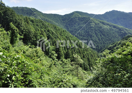 Okutama in the summer, Mt. Iwasu from Mt. 49794561