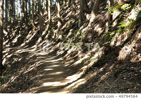 太陽散落在山路上 太陽散落在山路上 49794564
