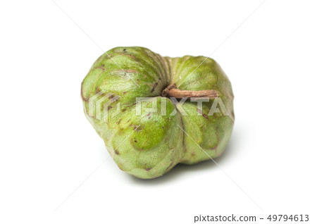 closeup of annona on white background 49794613