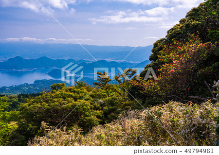 (Shizuoka Prefecture) Uchiura Bay seen from Mt. 49794981
