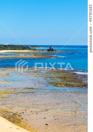 Scenery of Amami Oshima (Meijinzaki) Amami city, Amami city, Kagoshima prefecture Scenery of Amami Oshima (Meijinzaki) Amami city, Amami city, Kagoshima prefecture 49795885