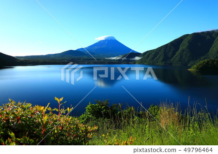 世界遺產Fujiyama Yamanashi Motohosako新鮮綠色 49796464