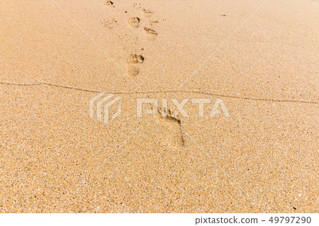 Footprints of sandy beach Amami Oshima Tehiro coast, Kagoshima Prefecture Footprints of sandy beach Amami Oshima Tehiro coast, Kagoshima Prefecture 49797290
