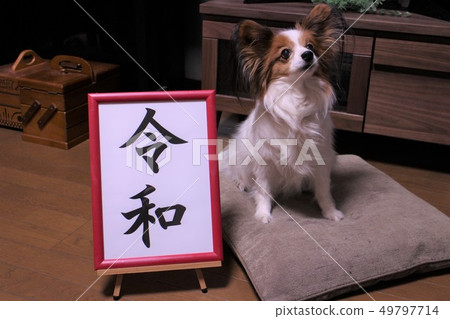 新時代是一個蹩腳的時代 49797714