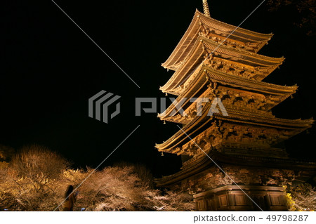 Toji Light Up Toji Light Up 49798287