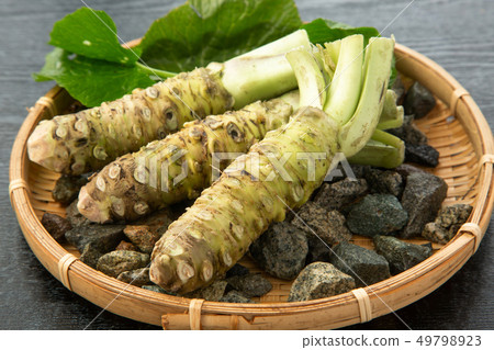 新鮮的芥末 49798923