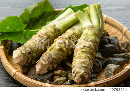 raw wasabi 49798924