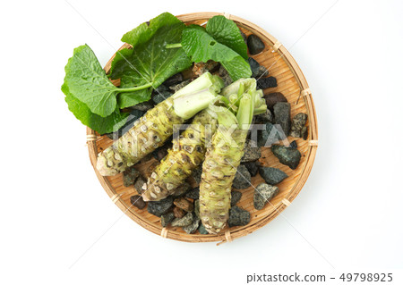 raw wasabi 49798925