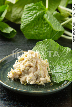 Wasabi pickles 49799237