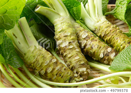 新鮮的芥末 49799378