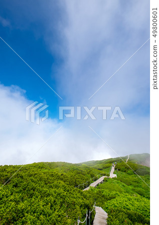 Summer visit copy space Oyama 49800601