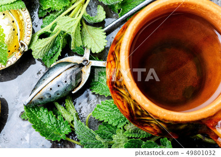 Tea with green fresh melissa leaves 49801032