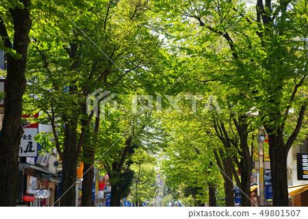 伊勢崎購物中心 伊勢崎購物中心 49801507