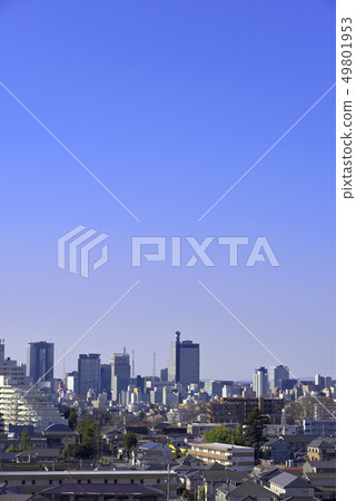 仙台市遠景仙台市冥想松樹向南看 仙台市遠景仙台市冥想松樹向南看 49801953