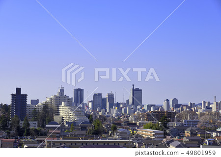 仙台市遠景仙台市冥想松樹向南看 49801959