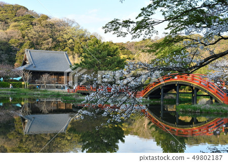 一座寺廟 49802187