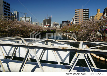 Along the Ooka River Along the Ooka River 49802236