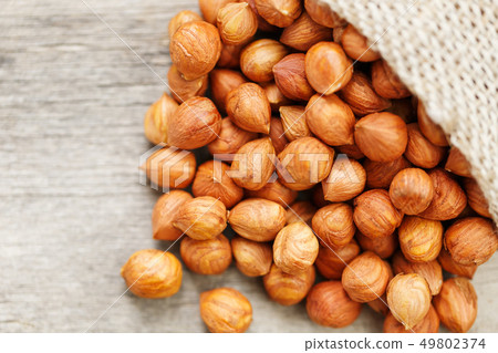 Chiselled hazelnuts in a bag of burlap on a gray Chiselled hazelnuts in a bag of burlap on a gray 49802374