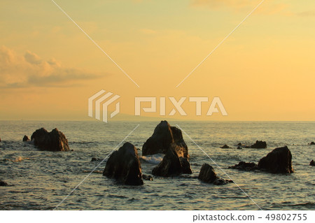 海 海 49802755