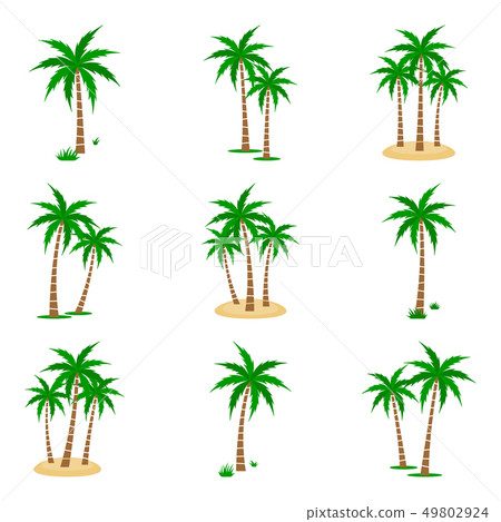 Palm Tree Vector Set 49802924