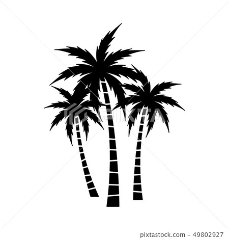 Palm Tree Vector Set - Stock Illustration [49802927] - PIXTA