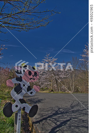 跳出池田牧場的男孩 49802965