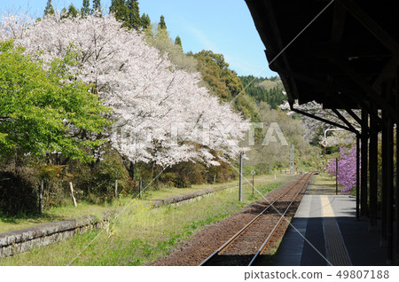 從春天本地線回家 從春天本地線回家 49807188