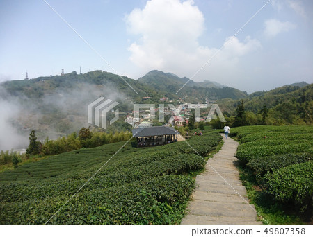 嘉義 嘉義梅山 嘉義景點 49807358