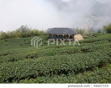 嘉義 嘉義梅山 嘉義景點 49807359