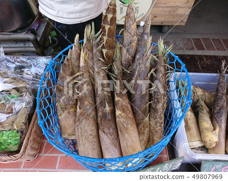 Bamboo shoots, bamboo shoots, bamboo 49807969